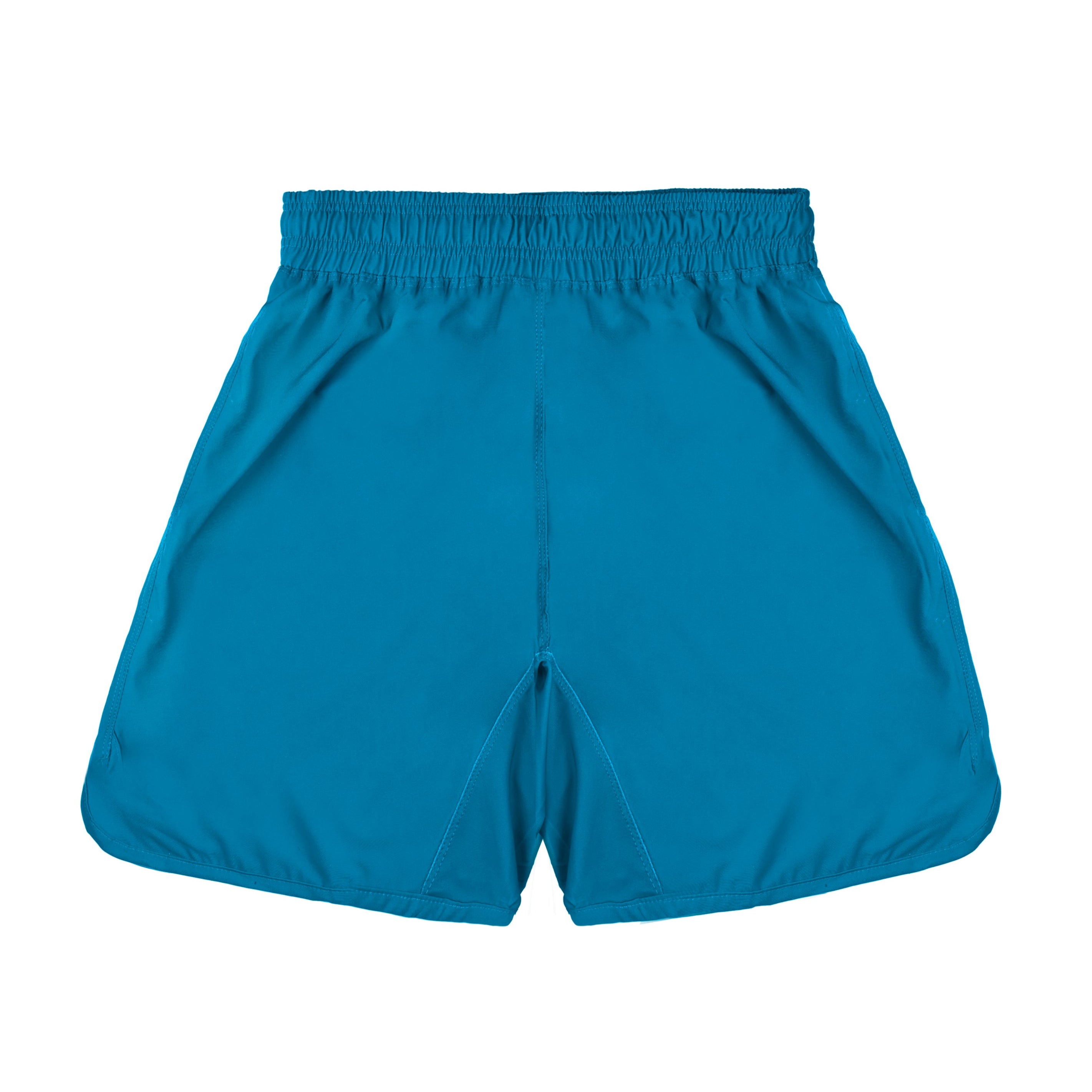 Solid Stretch Shorts - Aqua - REEN Jiu Jitsu